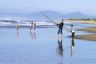 Fishing on the beach at St Helens Point