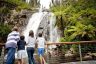 Steavenson Falls up close from lookout platform